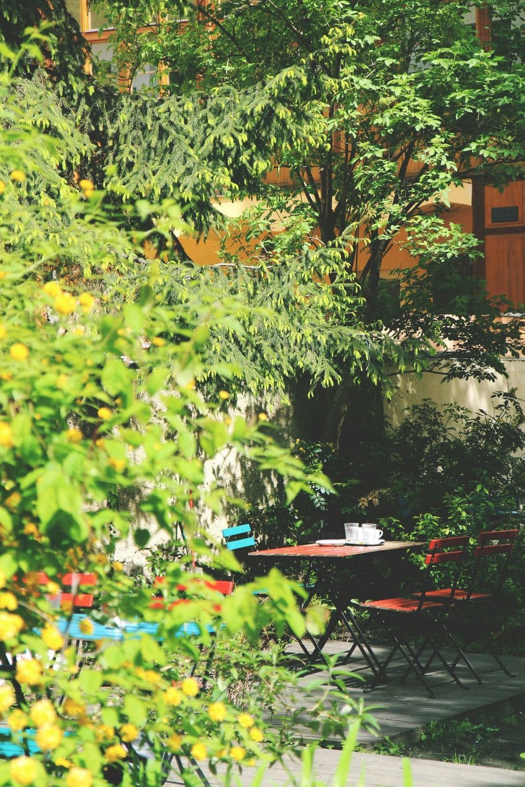 季節を楽しむ寄せ植えのすすめ